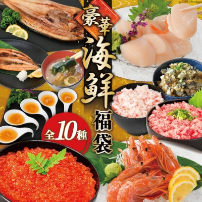 豪華 海鮮福袋 全10種 カネダイ 宮城県 気仙沼市 20565747
