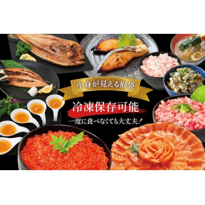 豪華 海鮮福袋 全10種 [カネダイ 宮城県 気仙沼市 20565836]
