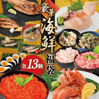 豪華 海鮮福袋 全13種 [カネダイ 宮城県 気仙沼市 20564346]