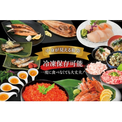 豪華 海鮮福袋 全13種 [カネダイ 宮城県 気仙沼市 20564346]