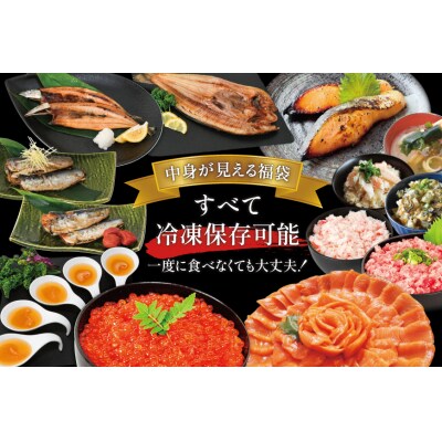 豪華 海鮮福袋 全13種 [カネダイ 宮城県 気仙沼市 20565837]