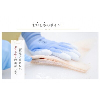 濃縮ふかひれスープ 200g×6袋 セット 箱入り [石渡商店 気仙沼市 20563933]