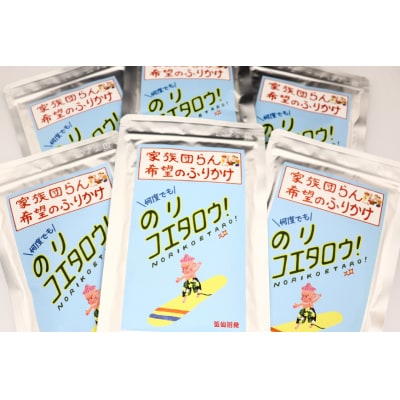 ふりかけ 家族団らん 希望のふりかけ のりコエタロウ!30g×6袋 [20565316]