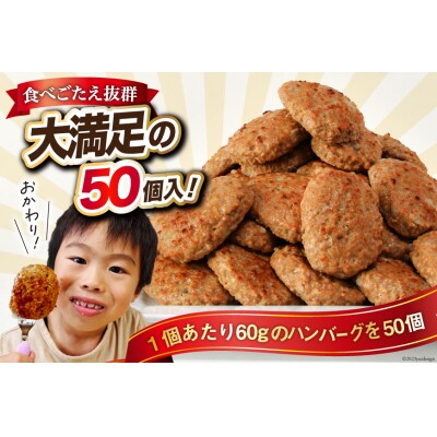 業務用 レンジで簡単 ハンバーグ 50個 60g×25個入×2袋 オサベフーズ 20563951