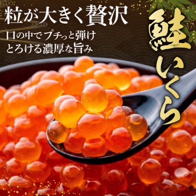 鮭 いくら 醤油漬け 200g×2p [20563341] さけ 小分け 味付いくら