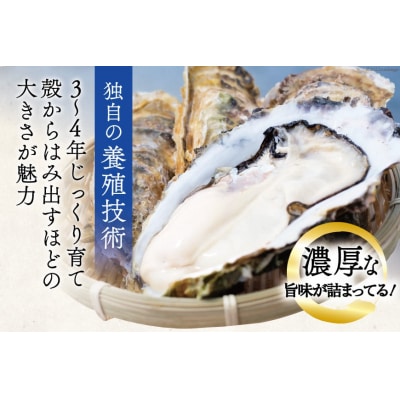 【期間限定発送】  牡蠣 3～4年モノ 殻付き 約3kg(約16-18個入) [20564186]