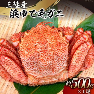 【期間限定発送】かに 三陸産浜ゆで毛ガニ 約500g 20564164