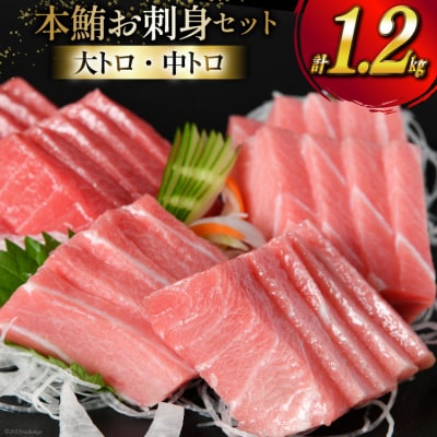 【高級旅館御用達】 本鮪 お刺身セット 大トロ 800g 中トロ 400g [20563969]