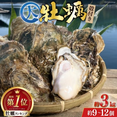【期間限定発送】牡蠣 大粒 3～4年モノ 殻付き 約3kg(約9-12個入) 20564160