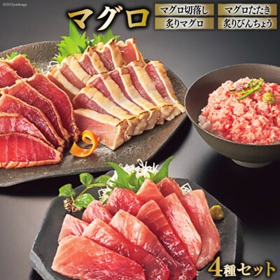 日本贈りめし×凍眠市場 気仙沼網元直送 マグロセット 計1000g [シャディ 20564030]