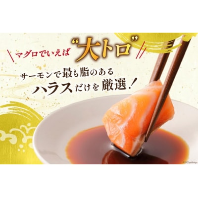 訳あり サーモン 刺身 トロ ハラス フィーレ 無添加 総重量1kg [20564915]