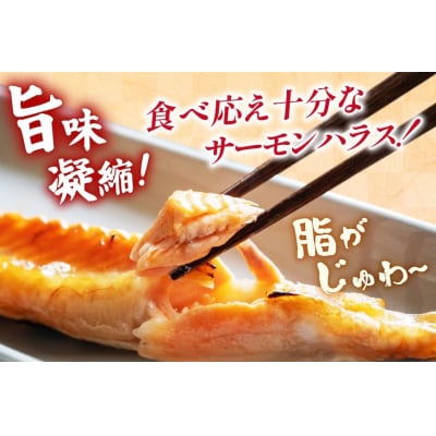 訳あり サーモン 刺身 トロ ハラス  総重量 1kg [足利本店 20564915] 鮭