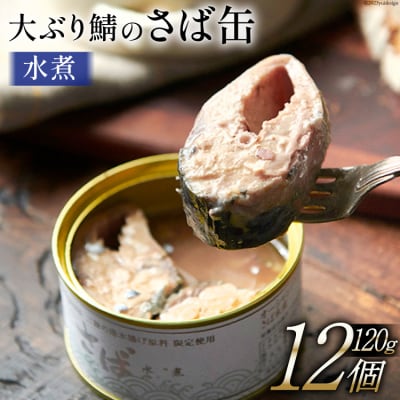OceanPrincess 大ぶり鯖のさば缶 12缶 セット 水煮 モンマルシェ 20565067