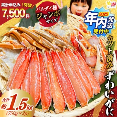 年内配送 かに ずわいがに むき身セット 総重量1.5kg 正味重量1.2kg 20564319