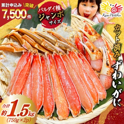かに ずわいがに むき身セット 総重量1.5kg 正味重量1.2kg 20564319