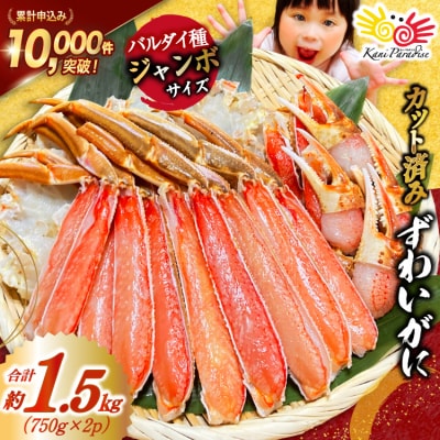 かに ずわいがに むき身セット 総重量1.5kg 正味重量1.2kg 20564319