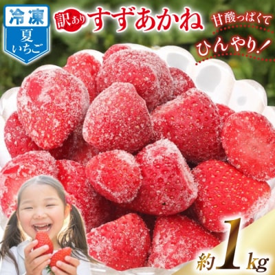 訳あり 冷凍 夏いちご すずあかね 約1kg 水山養殖場  20564004