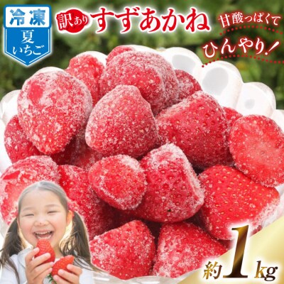 訳あり 冷凍 夏いちご すずあかね 約1kg [水山養殖場 20564004]