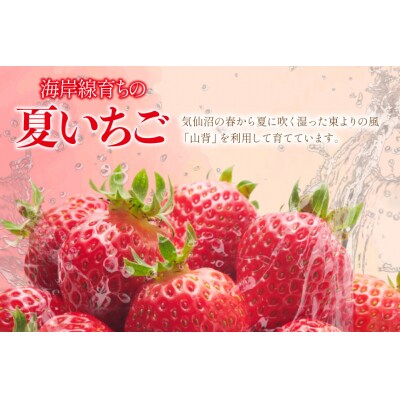 訳あり 冷凍 夏いちご すずあかね 約1kg [水山養殖場 20564004]
