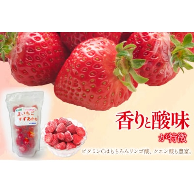 訳あり 冷凍 夏いちご すずあかね 約1kg 水山養殖場  20564004