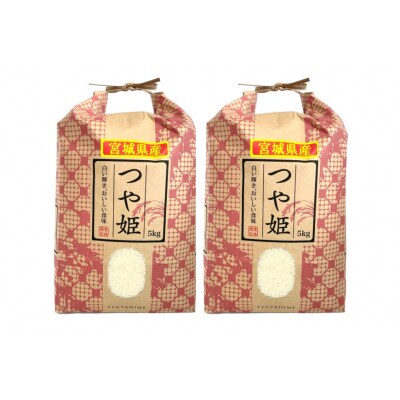 3回 定期 米 宮城県産 つや姫 10kg(5kg×2) 計30kg 20564924