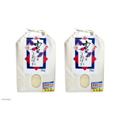 3回 定期 米 宮城県産  ひとめぼれ 10kg(5kg×2) 計30kg [20565592]