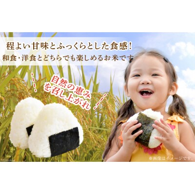 3回 定期 米 宮城県産  ササニシキ 10kg(5kg×2) 計30kg 20564929