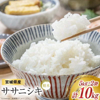米 宮城県産  ササニシキ 10kg(5kg×2) 20564928