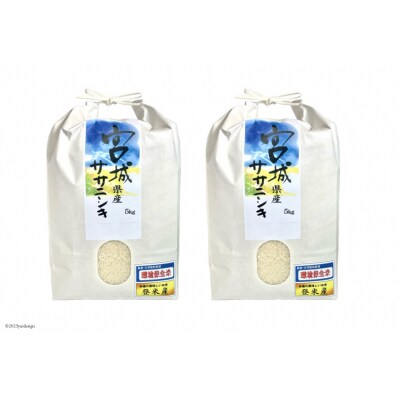 米 宮城県産  ササニシキ 10kg(5kg×2) 20564928