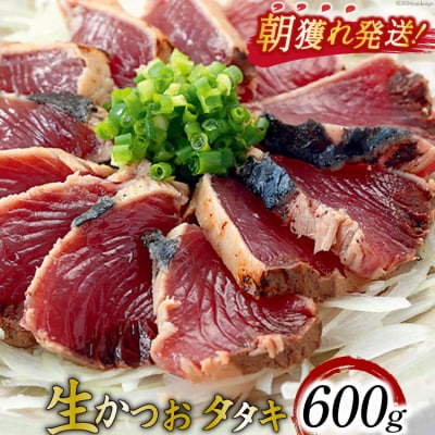 朝獲れ 産地直送 冷蔵便 生かつおタタキ 600g タレ付 [20564103]