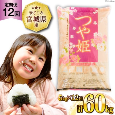 12回 定期便 米 つや姫 5kg×12 計60kg [20564681] 