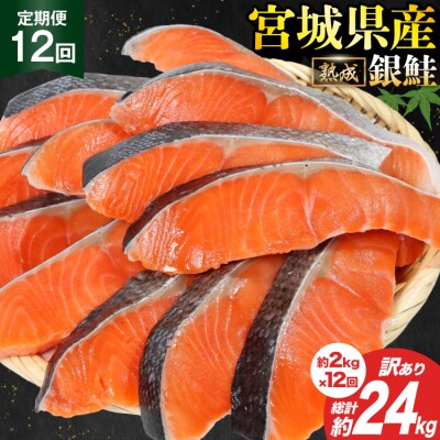 定期便《12ヶ月》 訳あり 宮城県産 銀鮭 切身 約2kg×12回 計24kg 20564498