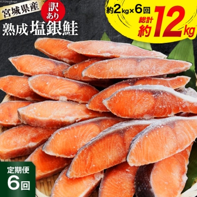 定期便《6ヶ月》 訳あり 宮城県産 銀鮭 切身 約2kg×6回 計12kg 20564499