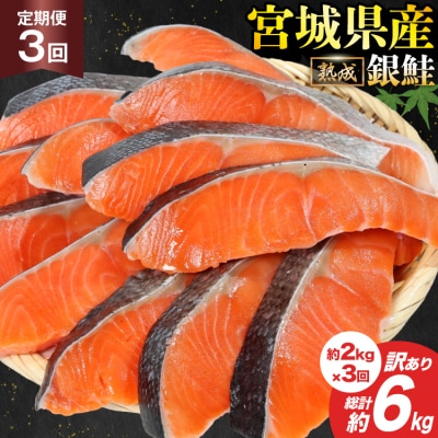 定期便《3ヶ月》 訳あり 宮城県産 銀鮭 切身 約2kg×3回 計6kg [20564500]