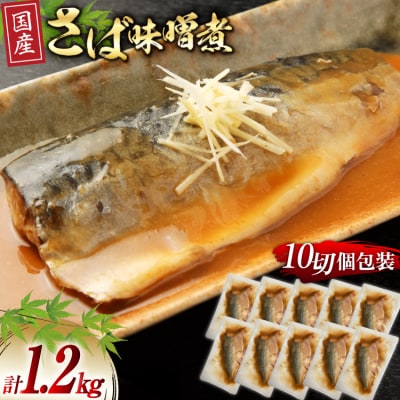 国産 さば 味噌煮 120g×10パック [20564777] 