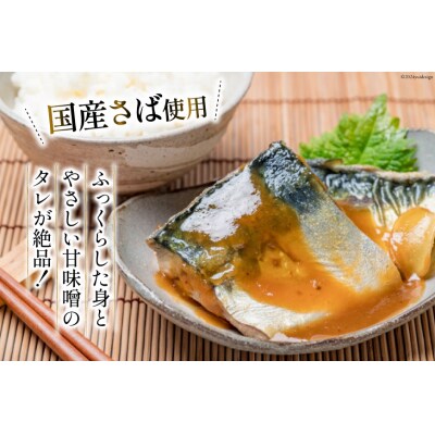 国産 さば 味噌煮 120g×10パック [20564777] 