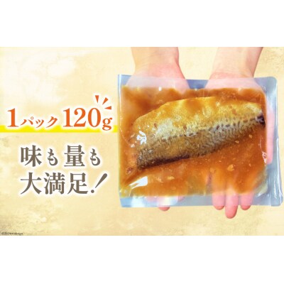 国産 さば 味噌煮 120g×10パック [20564777] 