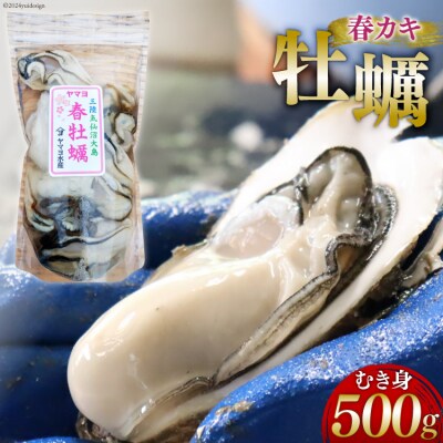 【期間限定発送】ヤマヨ水産の牡蠣 生食用 むき身 500g 《5月前半～出荷》 20565237