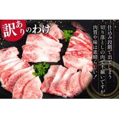 訳あり 黒毛和牛 仙台牛 切り落とし A5クラス 500g [マトン牧場 20565955]