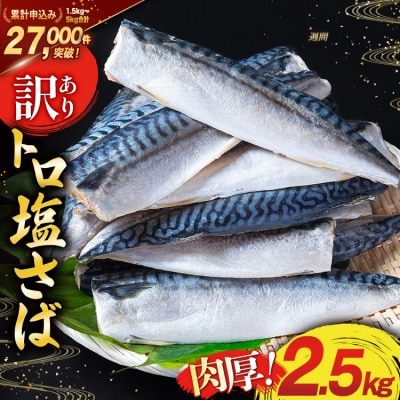訳あり 塩 サバ フィレ 2.5kg [気仙沼市 20564146] さば 鯖