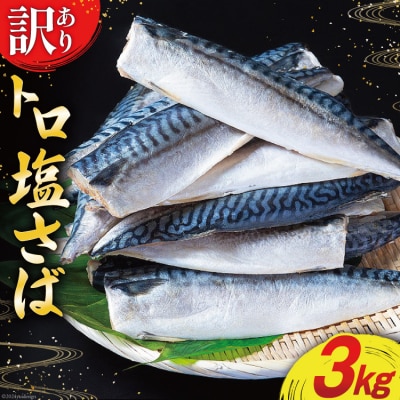 訳あり 塩サバ フィレ 3kg [足利本店 宮城県 気仙沼市 20564146]
