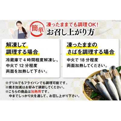 訳あり 塩 サバ フィレ 3kg [気仙沼市 20564146] さば 鯖