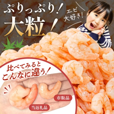 えび 大粒 むきえび 1.6kg (800g×2p) 背わた処理済み [20564351]