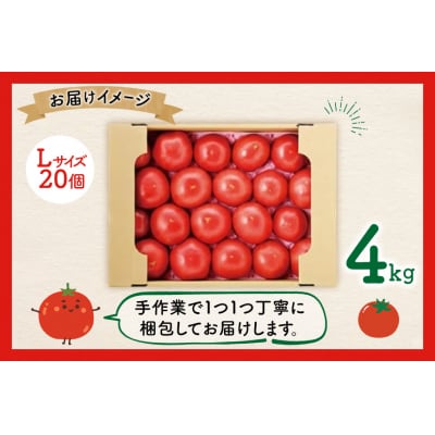 【期間限定発送】波乗り トマト とまたん 4kg (20個入) [20564139]