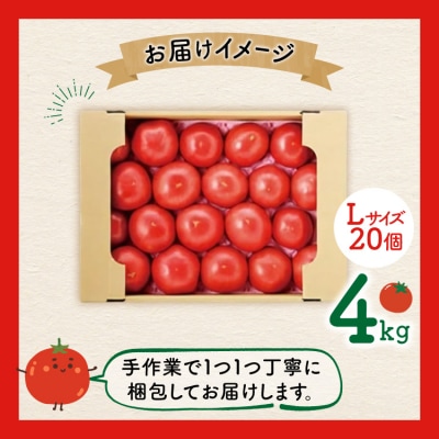 【期間限定発送】波乗り トマト とまたん 4kg 20個入 [20564139] 野菜