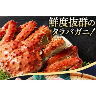 本 タラバガニ 脚 スリット入 約1.3kg 極太6Lサイズ ボイル済 20564363 ◎