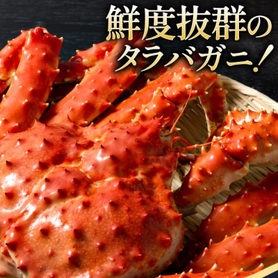 かに 本 タラバガニ 脚 スリット入 約1.3kg 極太6Lサイズ [20564363]