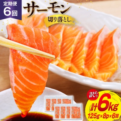 6回 定期便 訳あり サーモン 切り落とし 125gx8p×6回 計6kg 20564708