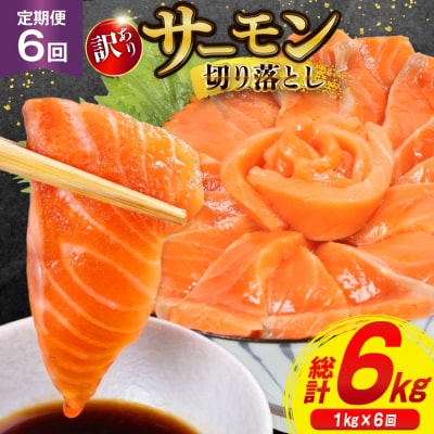 6回 定期便 訳あり サーモン 切り落とし おさしみ用 125gx8p×6回 [20564708]