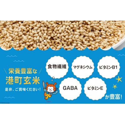 米 港町玄米 3.6kg 450g×8袋 [20564306]